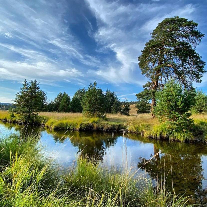 Vila Carna Zlatibor Esterno foto